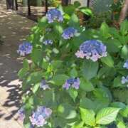 ヒメ日記 2025/06/18 19:22 投稿 折川詩音(おりかわしおん) 東京ヒストリー　秘密の約束