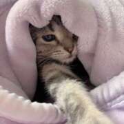 ヒメ日記 2024/12/05 17:18 投稿 堂本　祥子 プルプル人妻専門店