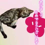 ヒメ日記 2025/01/04 08:02 投稿 堂本　祥子 プルプル人妻専門店