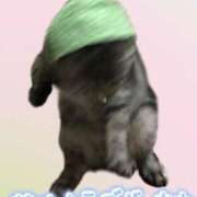 ヒメ日記 2025/01/07 08:03 投稿 堂本　祥子 プルプル人妻専門店