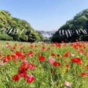 ヒメ日記 2025/05/07 20:37 投稿 堂本　祥子 プルプル人妻専門店