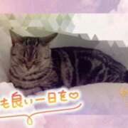 ヒメ日記 2025/06/13 08:28 投稿 堂本　祥子 プルプル人妻専門店