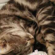 ヒメ日記 2025/06/17 07:00 投稿 堂本　祥子 プルプル人妻専門店