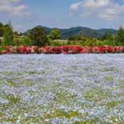 ヒメ日記 2025/08/17 18:29 投稿 堂本　祥子 プルプル人妻専門店