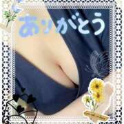 ヒメ日記 2025/10/13 08:01 投稿 堂本　祥子 プルプル人妻専門店