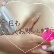 ヒメ日記 2025/11/04 09:45 投稿 堂本　祥子 プルプル人妻専門店