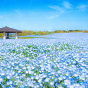 ヒメ日記 2026/03/02 16:10 投稿 堂本　祥子 プルプル人妻専門店