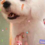 ヒメ日記 2025/10/30 21:49 投稿 麻央 夕月