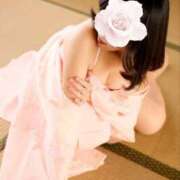 ヒメ日記 2026/03/11 17:09 投稿 麻央 夕月