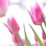 ヒメ日記 2025/09/27 12:09 投稿 なな 待ちナビ