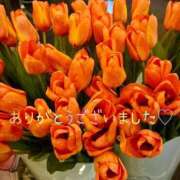 ヒメ日記 2025/03/21 01:07 投稿 進藤春乃 五十路マダム 博多店