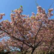 ヒメ日記 2025/03/22 19:17 投稿 進藤春乃 五十路マダム 博多店