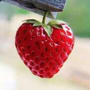 ヒメ日記 2025/03/27 17:37 投稿 進藤春乃 五十路マダム 博多店