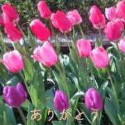 ヒメ日記 2025/04/21 21:37 投稿 進藤春乃 五十路マダム 博多店