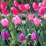 ヒメ日記 2025/04/24 22:57 投稿 進藤春乃 五十路マダム 博多店