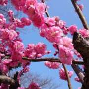 進藤春乃 久しぶりに、、 五十路マダム 博多店