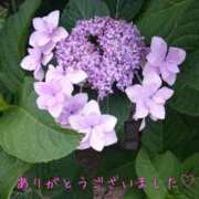 ヒメ日記 2026/06/25 02:47 投稿 進藤春乃 五十路マダム 博多店