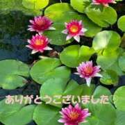 進藤春乃 9/2のお礼日記です♪ 五十路マダム 博多店