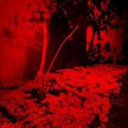 ヒメ日記 2025/03/03 16:22 投稿 りんか Evolution 2nd