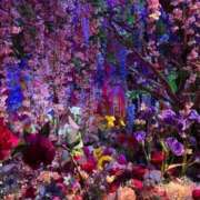 ヒメ日記 2025/04/22 12:05 投稿 りんか Evolution 2nd