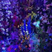 ヒメ日記 2025/04/25 14:33 投稿 りんか Evolution 2nd