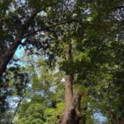 ヒメ日記 2025/05/19 07:51 投稿 りんか Evolution 2nd