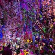 ヒメ日記 2025/06/28 18:03 投稿 りんか Evolution 2nd