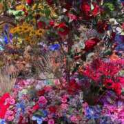 ヒメ日記 2025/07/21 18:48 投稿 りんか Evolution 2nd