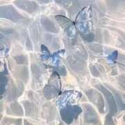 ヒメ日記 2025/08/18 01:52 投稿 りんか Evolution 2nd