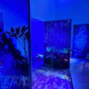 ヒメ日記 2025/09/05 11:52 投稿 りんか Evolution 2nd