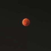 ヒメ日記 2025/09/09 15:42 投稿 りんか Evolution 2nd