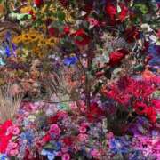 ヒメ日記 2025/09/29 20:10 投稿 りんか Evolution 2nd