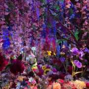 ヒメ日記 2025/11/20 16:22 投稿 りんか Evolution 2nd