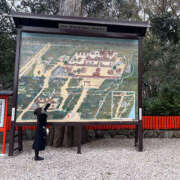 ヒメ日記 2025/02/08 11:55 投稿 ひびき ハピネス東京