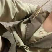 ヒメ日記 2025/12/20 14:14 投稿 ねね みつらん鉄道