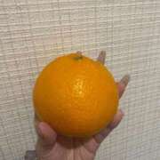 ヒメ日記 2025/12/27 07:44 投稿 ねね みつらん鉄道