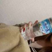 ヒメ日記 2026/02/20 07:04 投稿 ねね みつらん鉄道