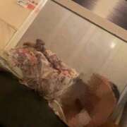 ヒメ日記 2026/03/04 14:34 投稿 ねね みつらん鉄道