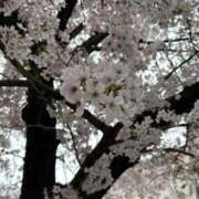 ヒメ日記 2026/04/01 00:44 投稿 ねね みつらん鉄道