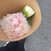 ヒメ日記 2025/07/11 11:55 投稿 なの 越谷発デリヘル 生イキッ娘！