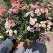 ヒメ日記 2025/08/15 11:50 投稿 なの 越谷発デリヘル 生イキッ娘！