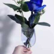 ヒメ日記 2025/11/12 20:28 投稿 なの 越谷発デリヘル 生イキッ娘！