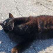 ヒメ日記 2025/11/30 10:47 投稿 なの 越谷発デリヘル 生イキッ娘！