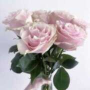 ヒメ日記 2026/01/23 14:13 投稿 なの 越谷発デリヘル 生イキッ娘！