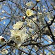 なの お休み 越谷発デリヘル 生イキッ娘！