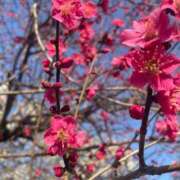 ヒメ日記 2026/03/20 15:44 投稿 なの 越谷発デリヘル 生イキッ娘！