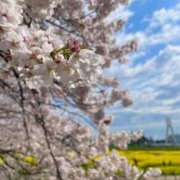 ヒメ日記 2026/03/31 14:23 投稿 なの 越谷発デリヘル 生イキッ娘！