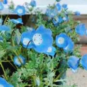 なの お休み 越谷発デリヘル 生イキッ娘！