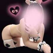 ヒメ日記 2025/02/05 06:39 投稿 ゆり FORTE