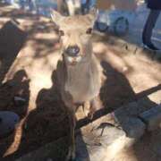 ヒメ日記 2025/02/25 12:22 投稿 ゆり FORTE